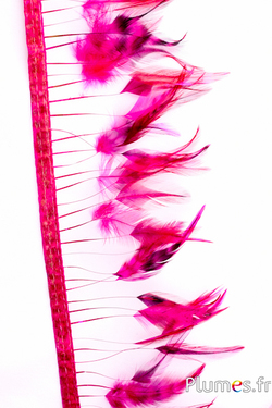 Frange coq - long. plumes 8-10 cm - fuchsia